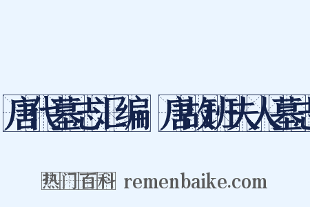 唐代墓志汇编·唐故班夫人墓志是什么意思的图片